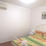 Dream House Carevo