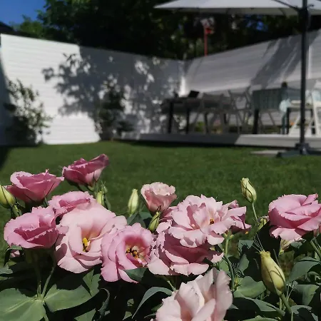 Dream House Πανσιόν Tsarevo