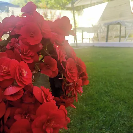 Dream House Πανσιόν Tsarevo