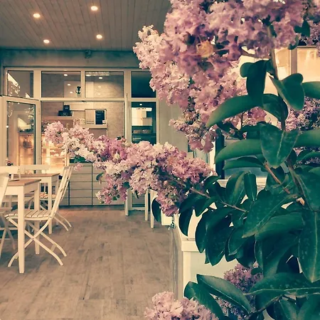 Dream House Affittacamere 2*