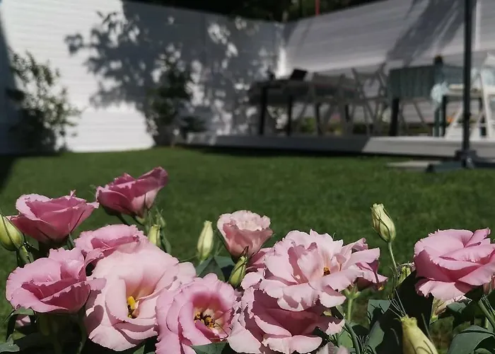 Dream House Affittacamere Tsarevo