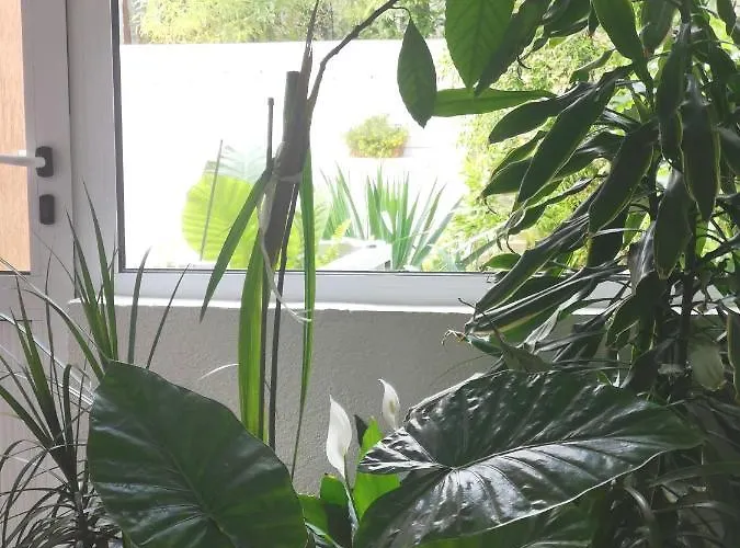 Dream House Affittacamere 2*